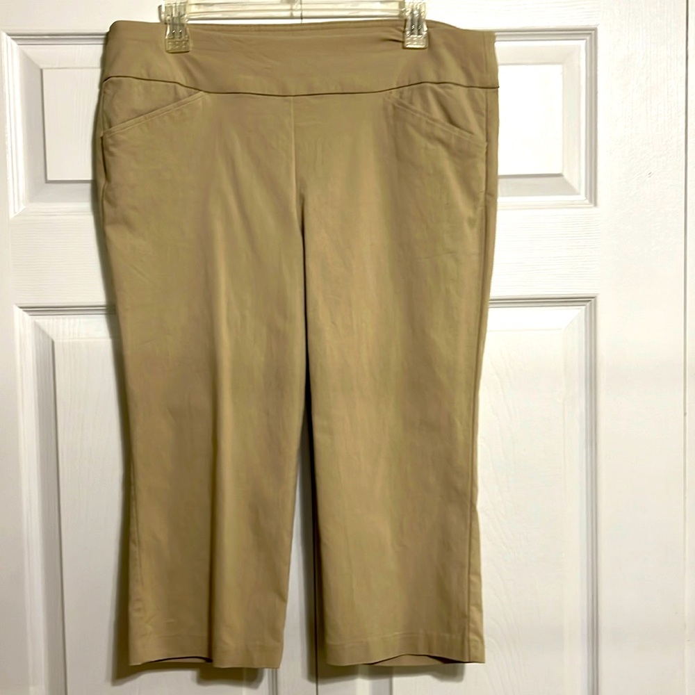 Christopher and Banks Crop Pants Tan Size 12